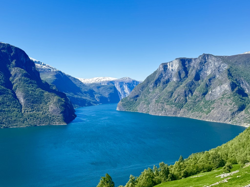 Norwegian fjord surrounded by steep green mountains
